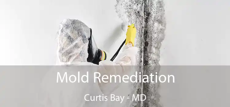 Mold Remediation Curtis Bay - MD