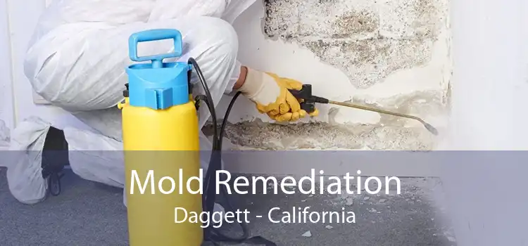 Mold Remediation Daggett - California