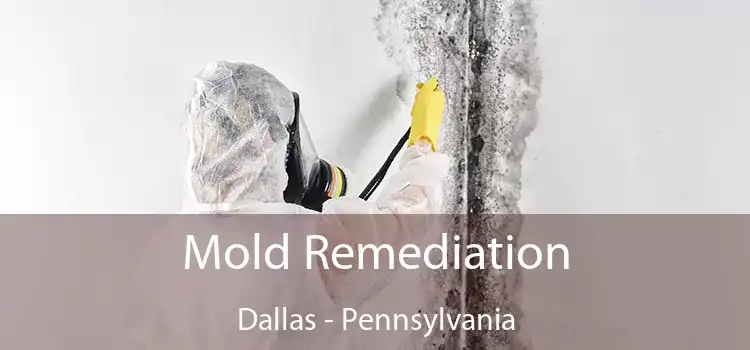 Mold Remediation Dallas - Pennsylvania