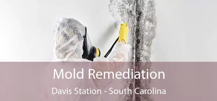 Mold Remediation Davis Station - South Carolina