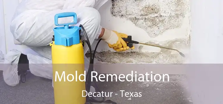 Mold Remediation Decatur - Texas