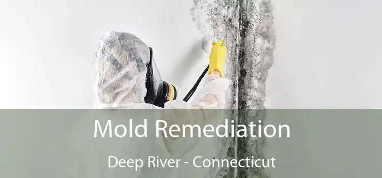 Mold Remediation Deep River - Connecticut