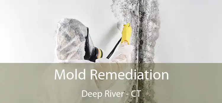 Mold Remediation Deep River - CT