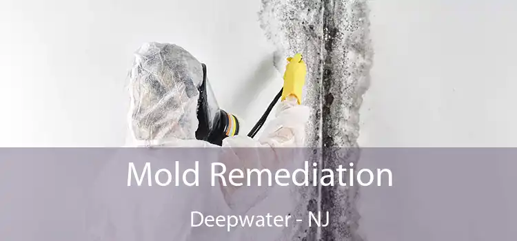 Mold Remediation Deepwater - NJ