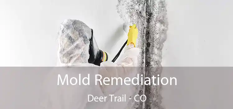 Mold Remediation Deer Trail - CO