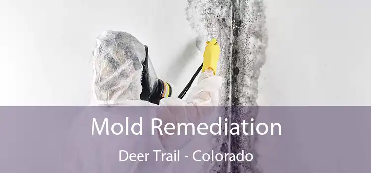 Mold Remediation Deer Trail - Colorado