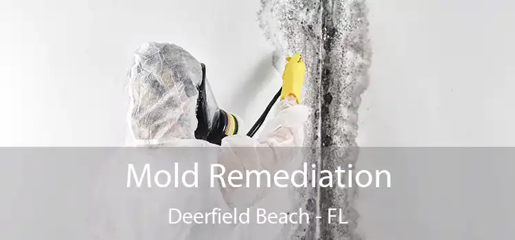 Mold Remediation Deerfield Beach - FL