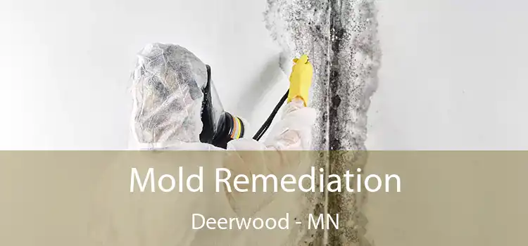 Mold Remediation Deerwood - MN