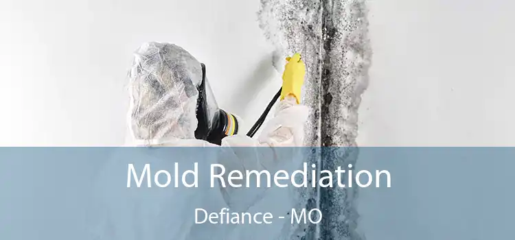 Mold Remediation Defiance - MO