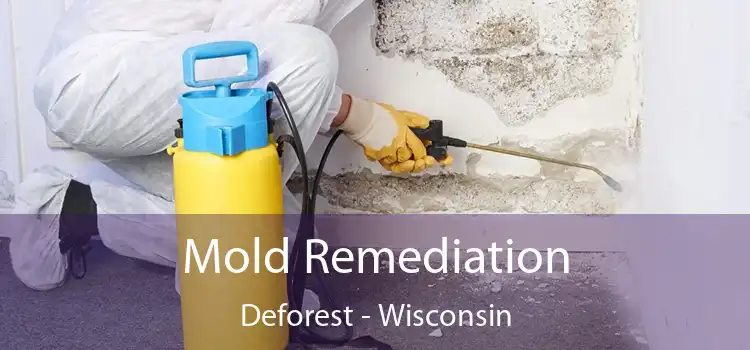 Mold Remediation Deforest - Wisconsin