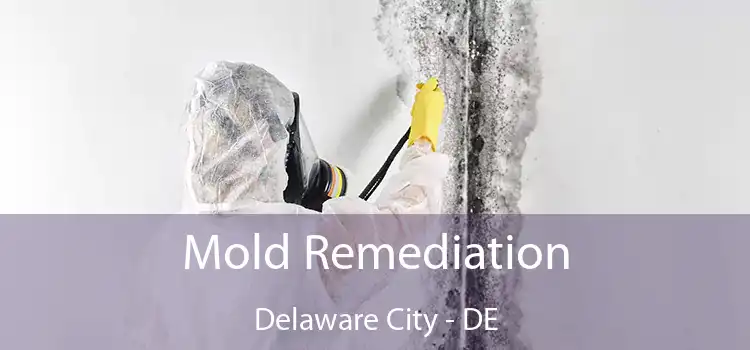 Mold Remediation Delaware City - DE