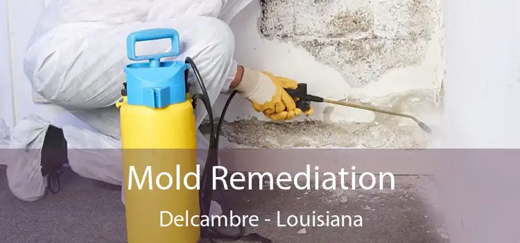 Mold Remediation Delcambre - Louisiana