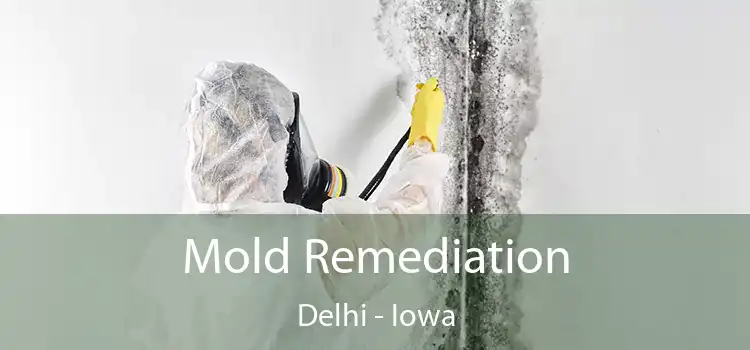 Mold Remediation Delhi - Iowa