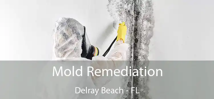 Mold Remediation Delray Beach - FL