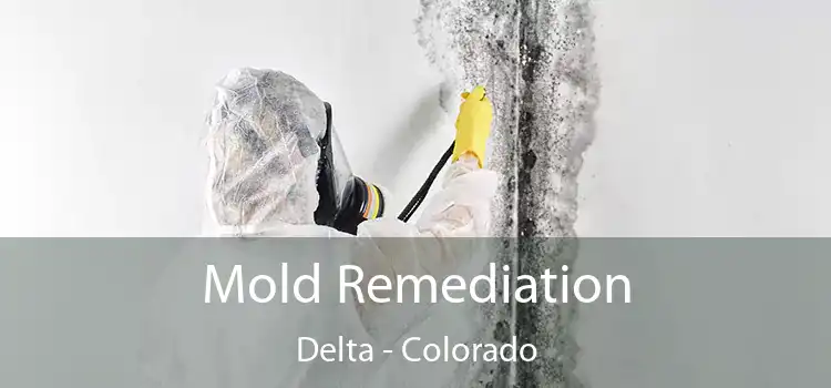 Mold Remediation Delta - Colorado