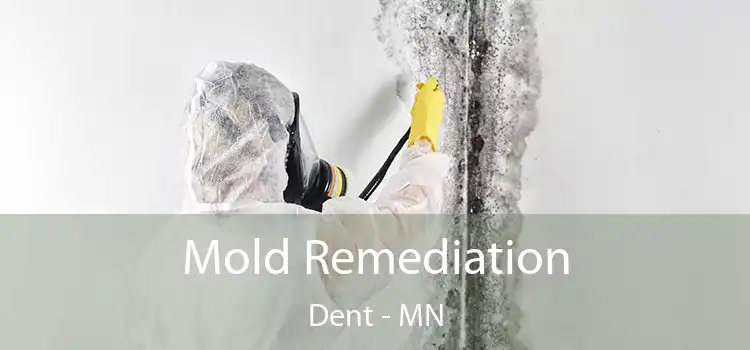 Mold Remediation Dent - MN