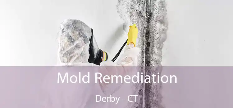 Mold Remediation Derby - CT