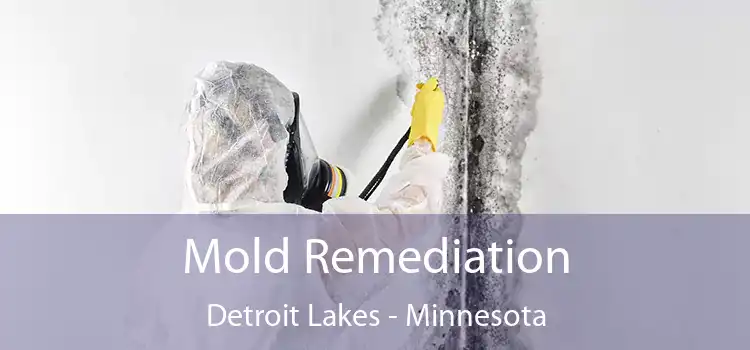 Mold Remediation Detroit Lakes - Minnesota