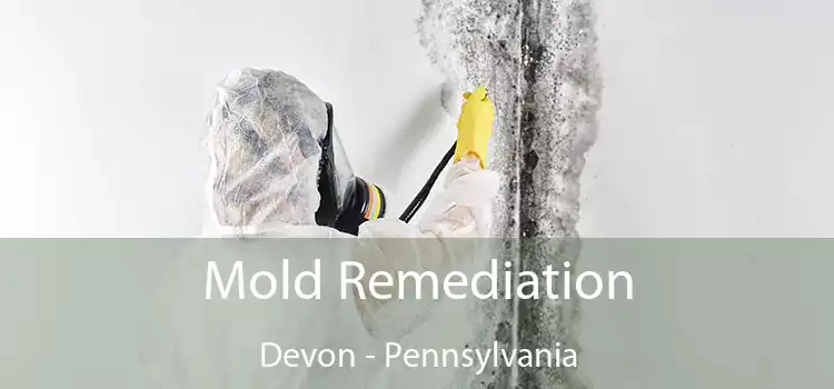 Mold Remediation Devon - Pennsylvania