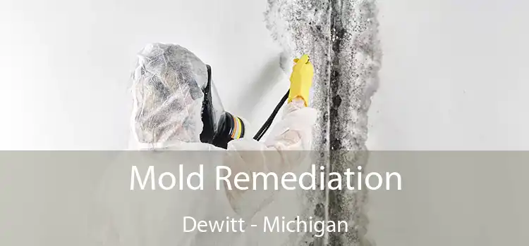 Mold Remediation Dewitt - Michigan