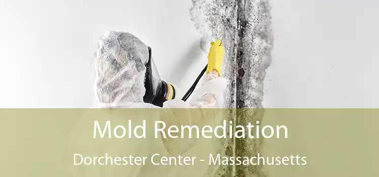 Mold Remediation Dorchester Center - Massachusetts