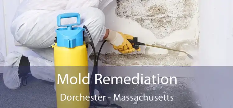 Mold Remediation Dorchester - Massachusetts