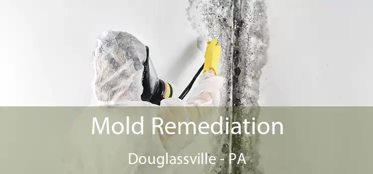 Mold Remediation Douglassville - PA