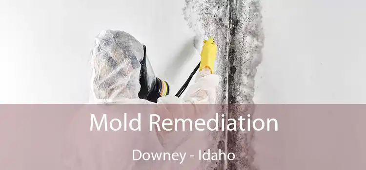 Mold Remediation Downey - Idaho