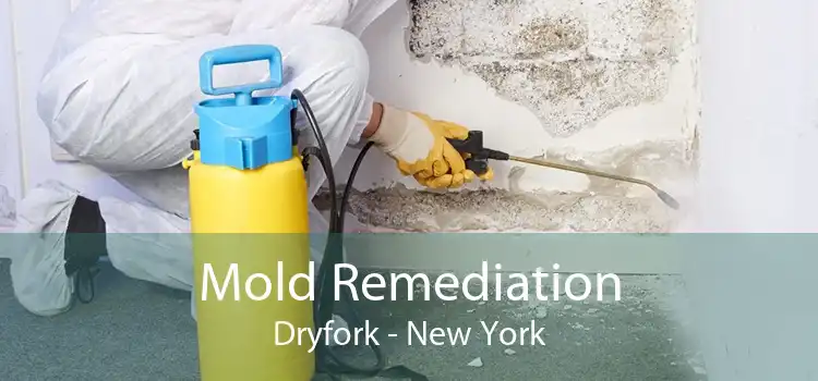 Mold Remediation Dryfork - New York