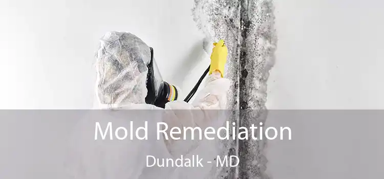 Mold Remediation Dundalk - MD