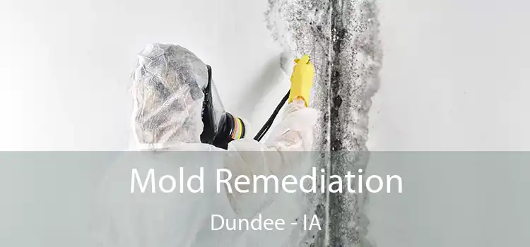 Mold Remediation Dundee - IA