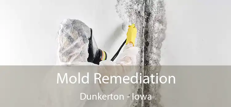 Mold Remediation Dunkerton - Iowa