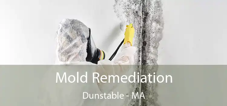 Mold Remediation Dunstable - MA