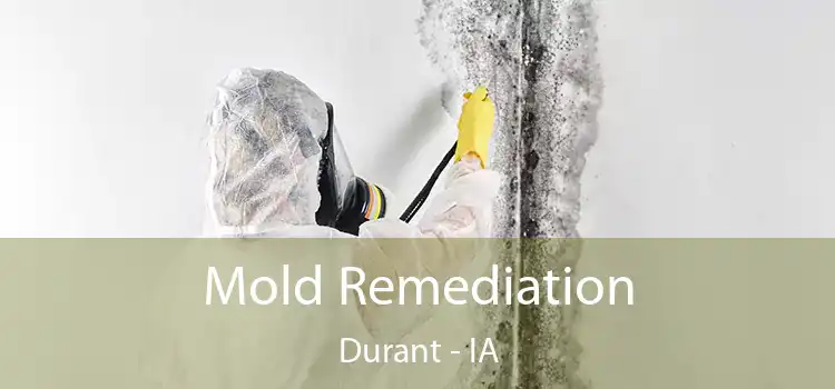 Mold Remediation Durant - IA