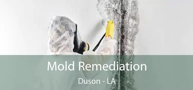 Mold Remediation Duson - LA