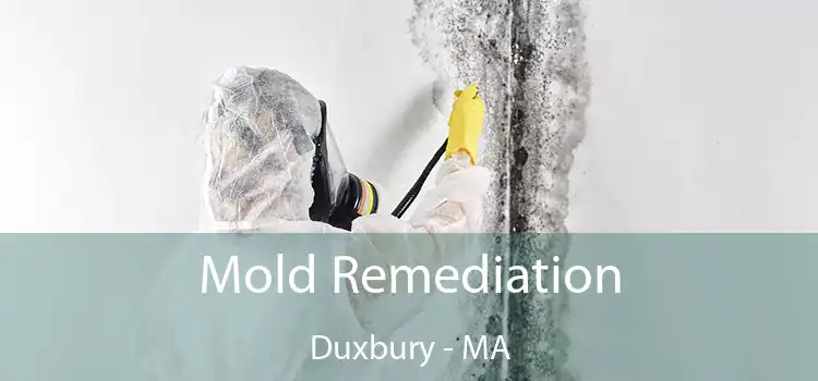 Mold Remediation Duxbury - MA