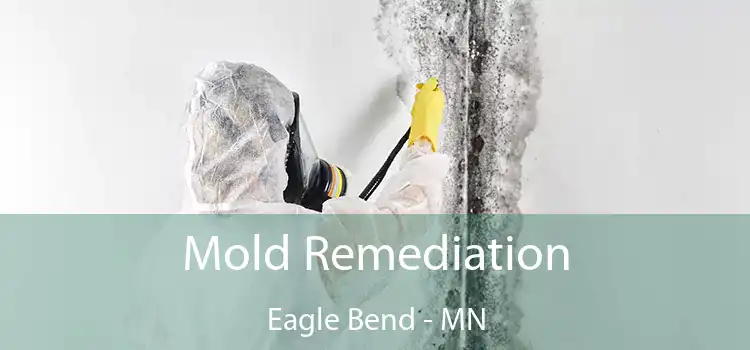 Mold Remediation Eagle Bend - MN