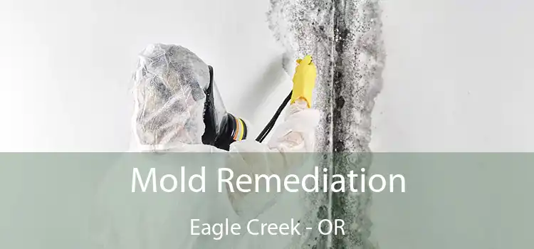 Mold Remediation Eagle Creek - OR