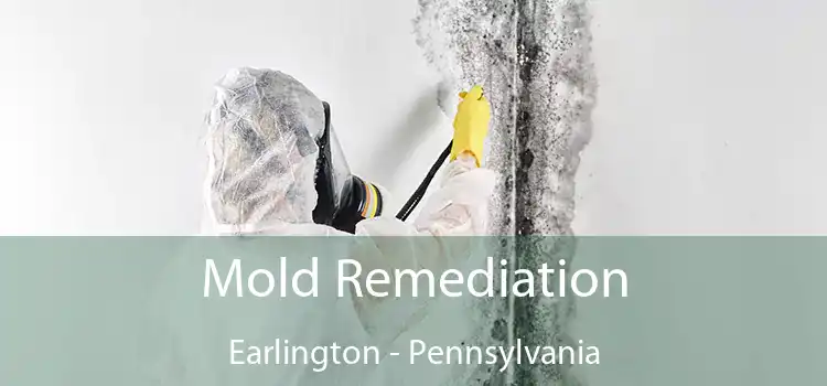 Mold Remediation Earlington - Pennsylvania