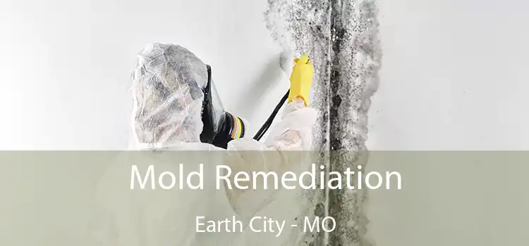 Mold Remediation Earth City - MO