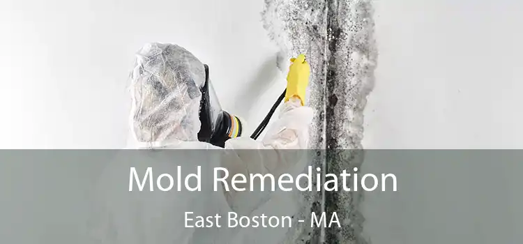 Mold Remediation East Boston - MA