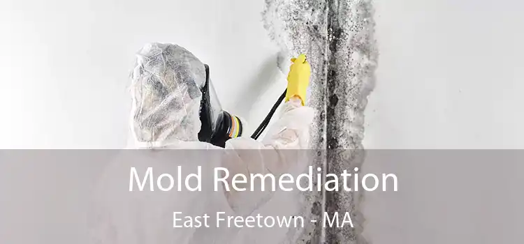 Mold Remediation East Freetown - MA