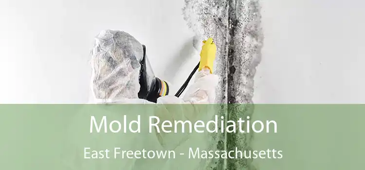 Mold Remediation East Freetown - Massachusetts