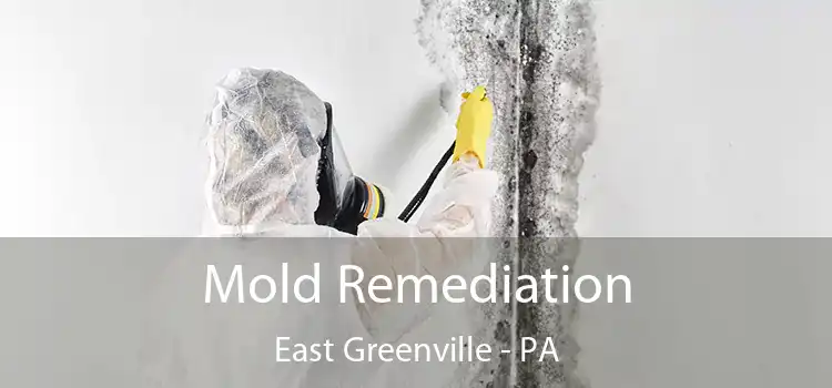 Mold Remediation East Greenville - PA