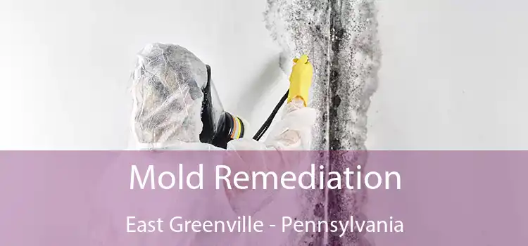 Mold Remediation East Greenville - Pennsylvania