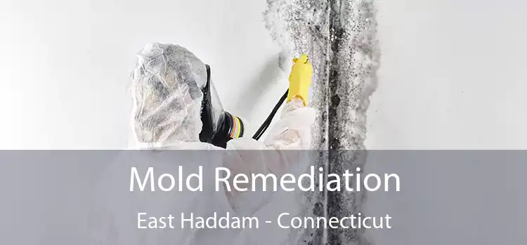 Mold Remediation East Haddam - Connecticut