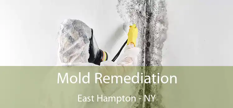 Mold Remediation East Hampton - NY