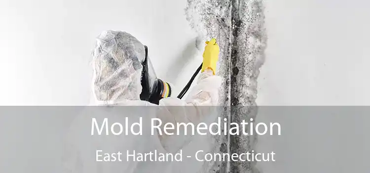 Mold Remediation East Hartland - Connecticut