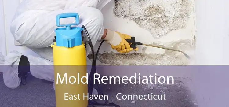 Mold Remediation East Haven - Connecticut