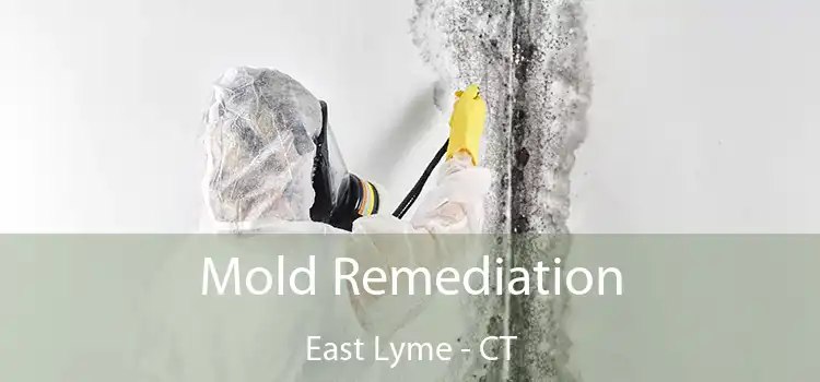 Mold Remediation East Lyme - CT